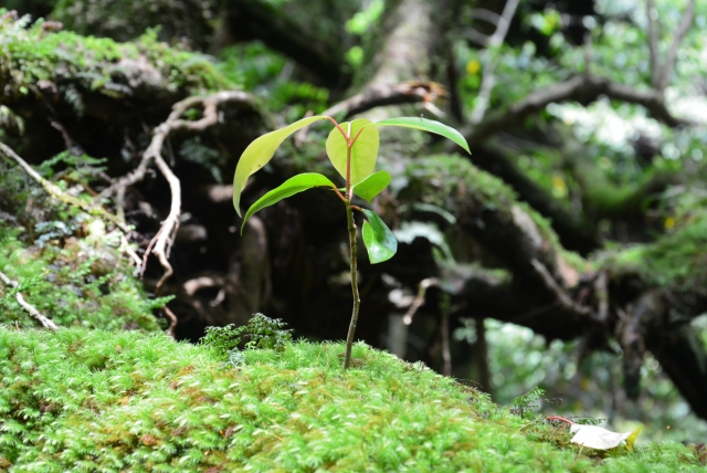 vol.95 土地と間取りと『家相』『風水』